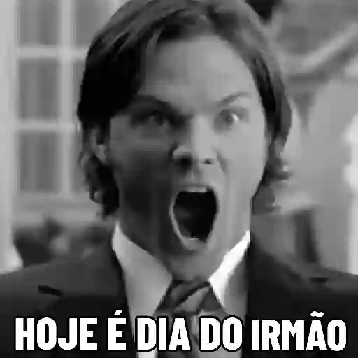Feliz dia do irmão  2