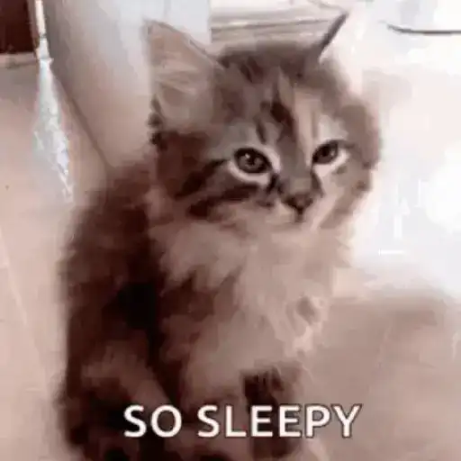 Sleepy sticky 14