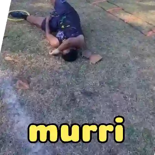 Vídeo 18