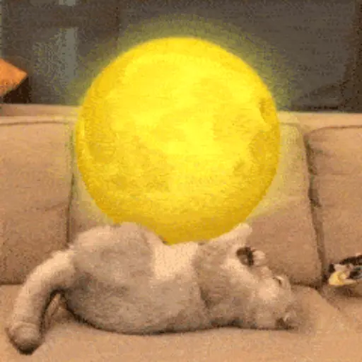 💫 Gatos con emojis❣️ 8