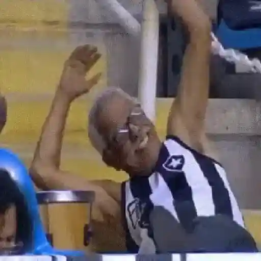Botafogo RJ ⚫⚪ 7