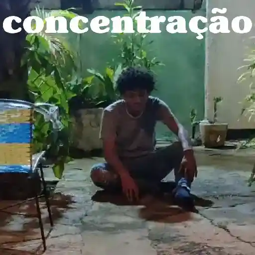 Monos animados d Diego 8