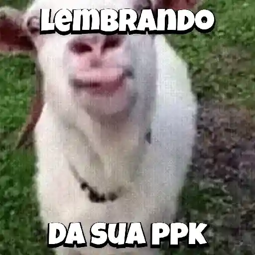 Zoeiras Animais 12