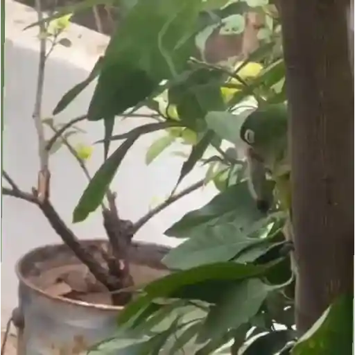 De todo 6