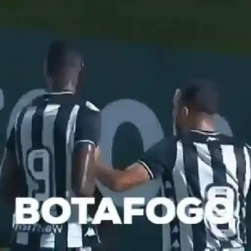 Botafogo RJ ⚫⚪ 12