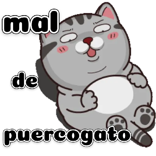 Gatito 11