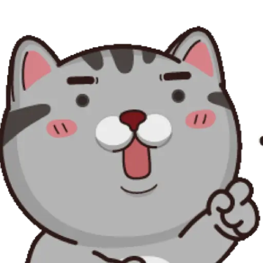 Gatito 15