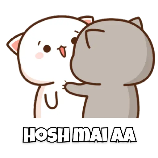 Mochicat (4) 5