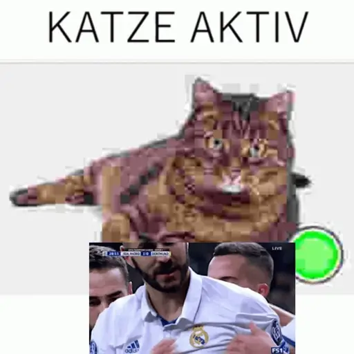 Real Madrid  24