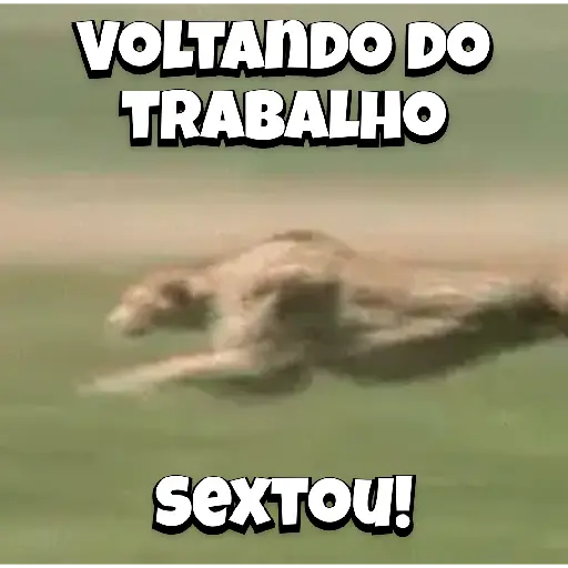 Zoeiras Animais 21