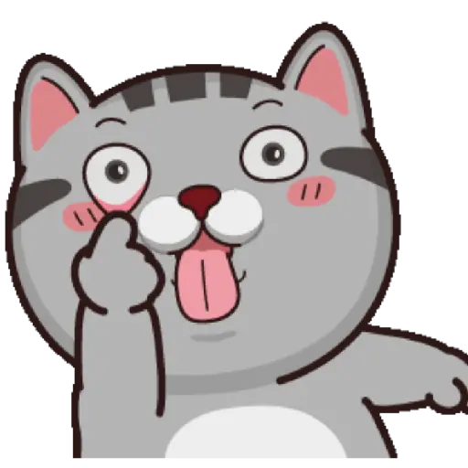 Gatito 6