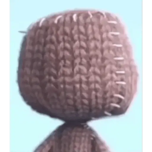 Sacoboii 1