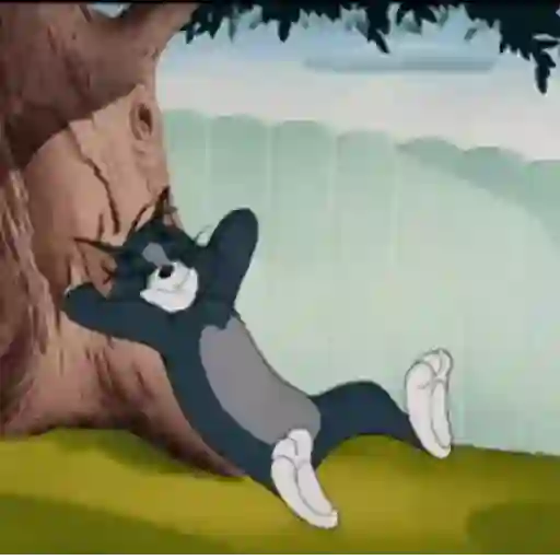 Descanso  4