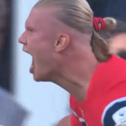 Erling Haaland ⚽🥅 18
