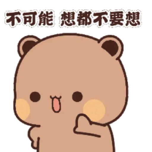 Panda x bear •11 4