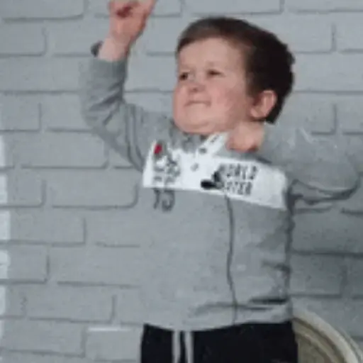 Hasbulla gif 12