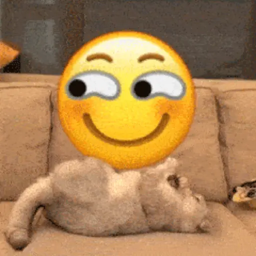 💫 Gatos con emojis❣️ 18