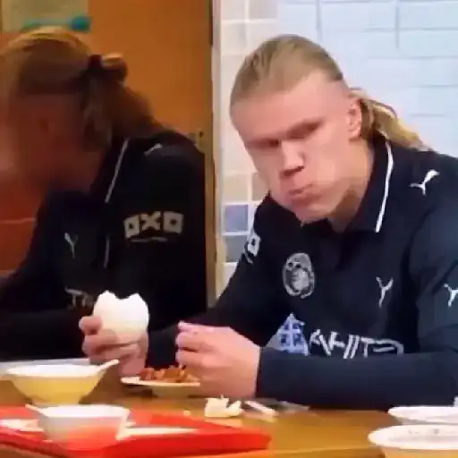 Erling Haaland ⚽🥅 15