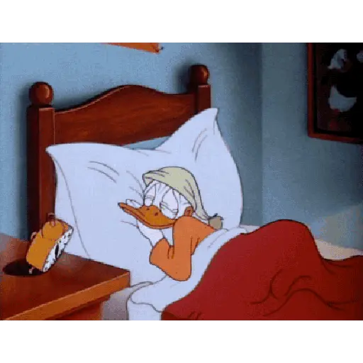 Pato Donald 11