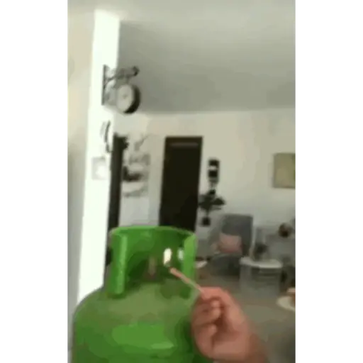 Repollo 4