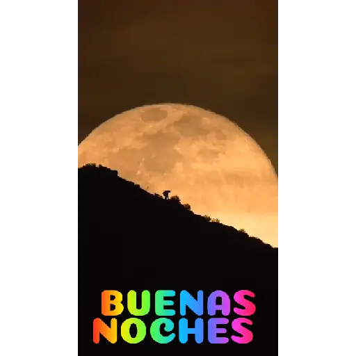 Locuras  3
