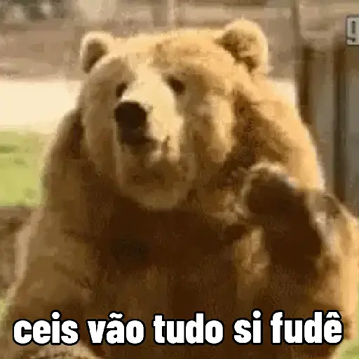 As melhores da semana 5