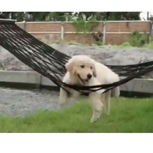Descanso  3