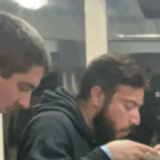 Repollo 15