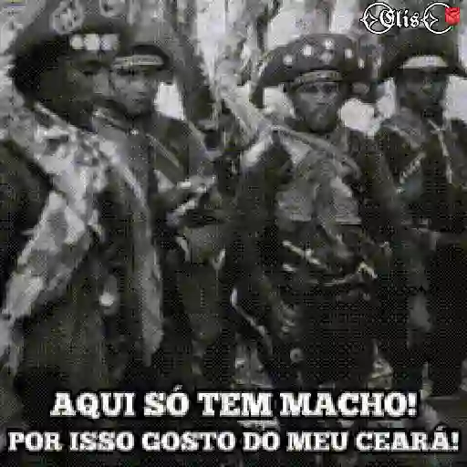 Zueira sadia 20