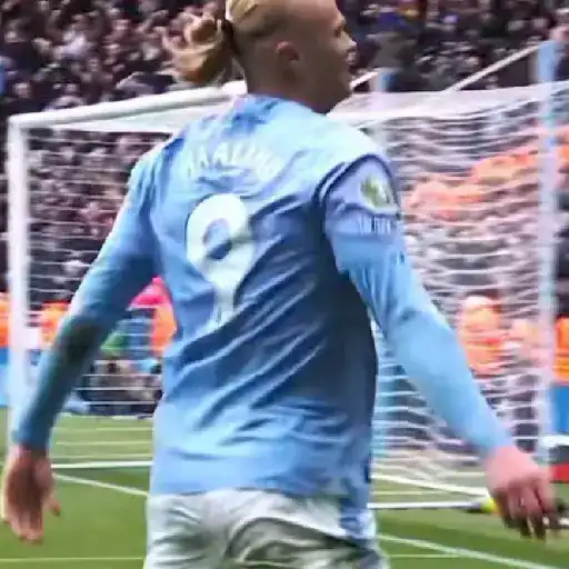 Erling Haaland ⚽🥅 25