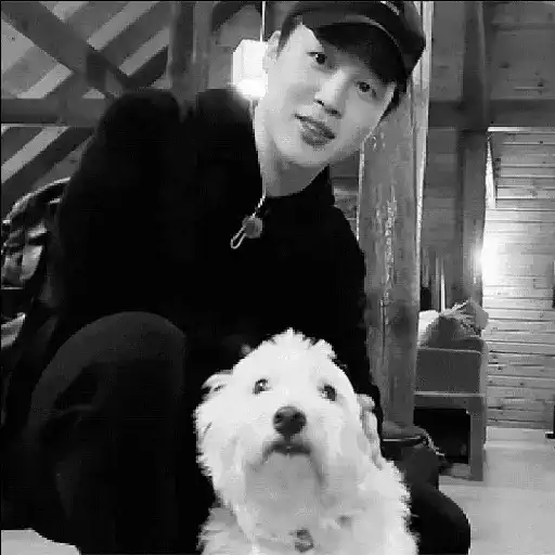 Dark stan bts 8