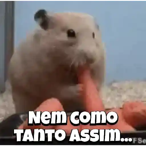 Zoeiras Animais 18
