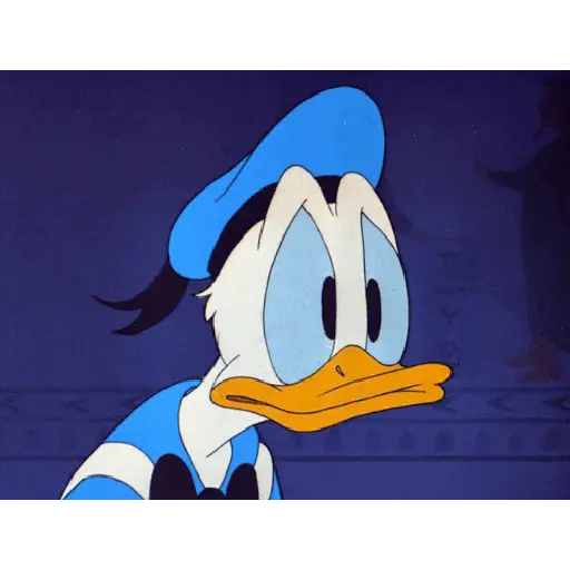 Pato Donald 3