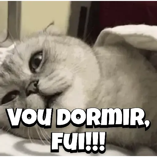 Zoeiras Animais 4