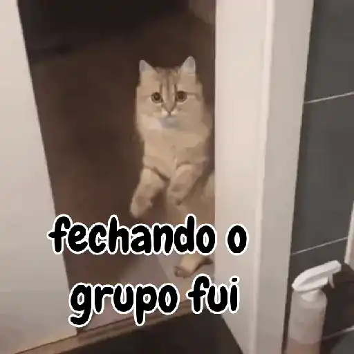 Animadas do ruck 6