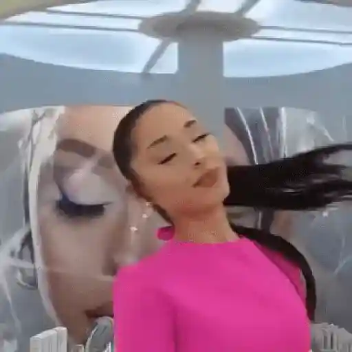 Ariana grande stickers 9
