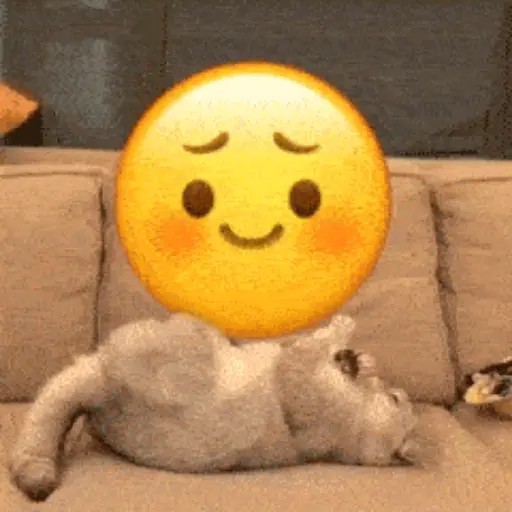 💫 Gatos con emojis❣️ 10