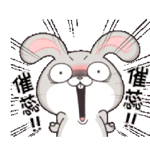 Rabbit 30
