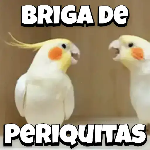 Zoeiras Animais 24
