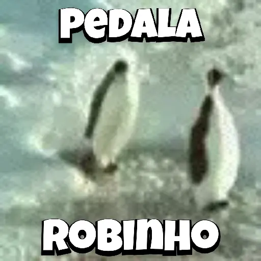 Zoeiras Animais 15