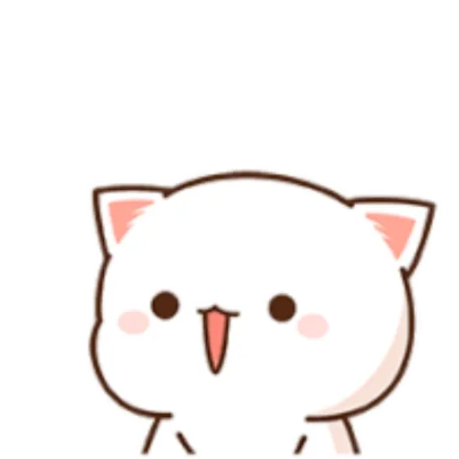 Mochi Peach cat 14 9