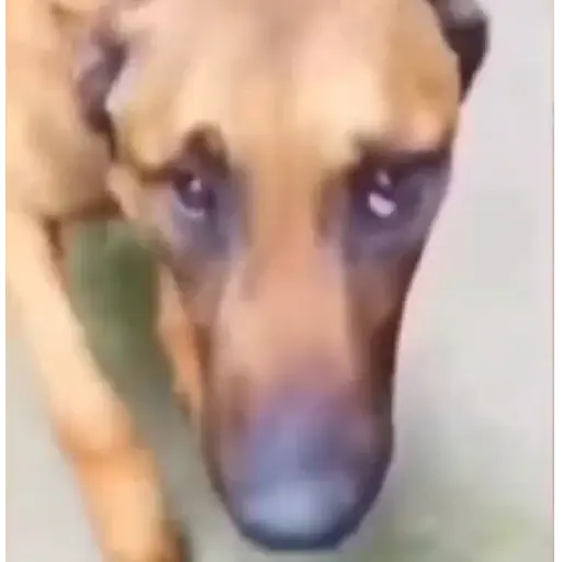 De todo 5