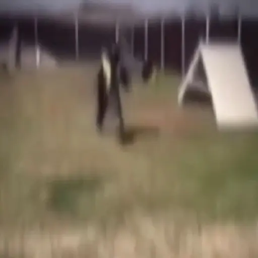 De todo 2