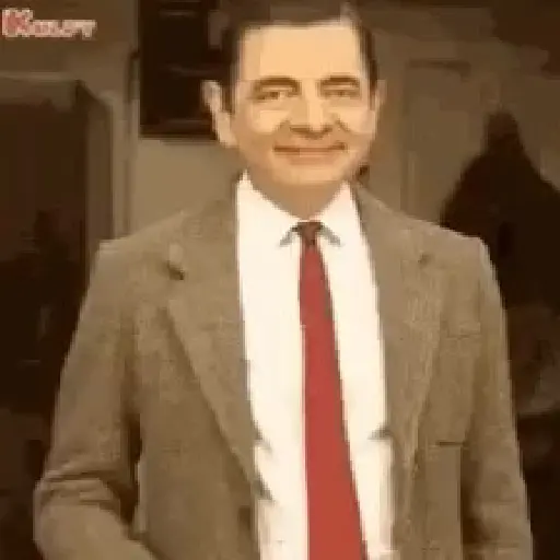 Animadas 4
