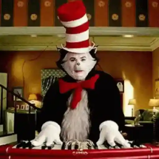 CatInHat 7