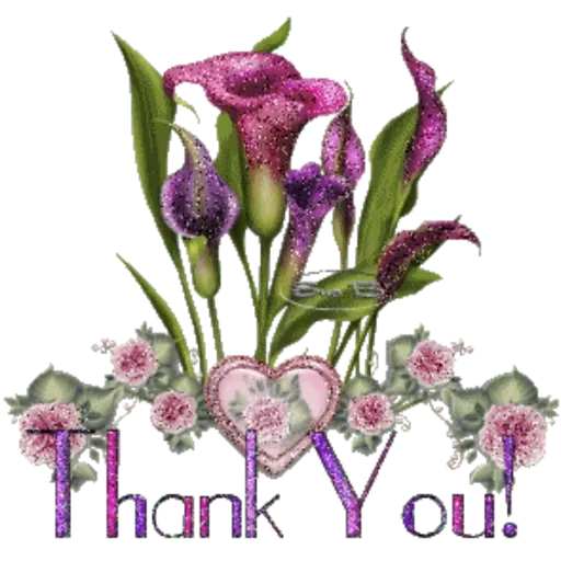 Thank You 28