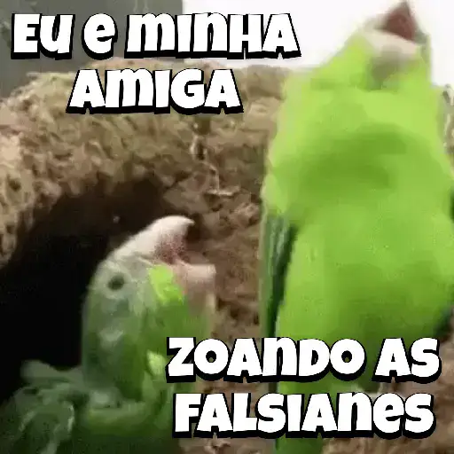 Zoeiras Animais 14