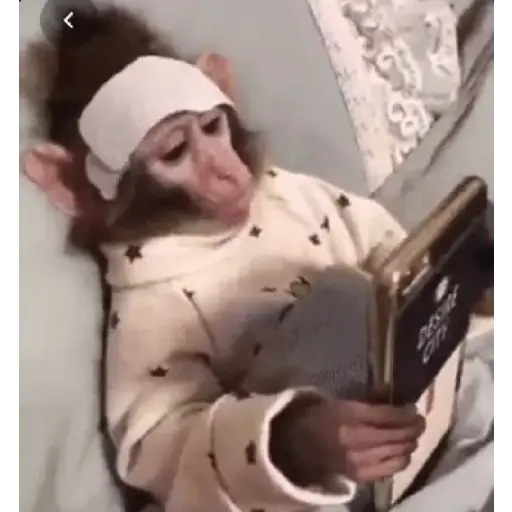 Monos animados d Diego 6