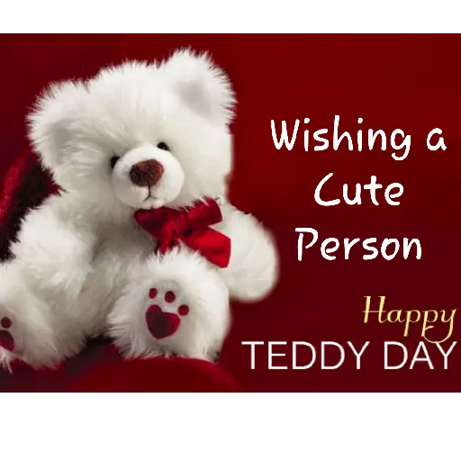 Teddy Bear Day 5