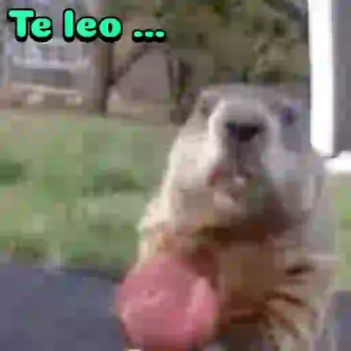 Variados 04mov 2